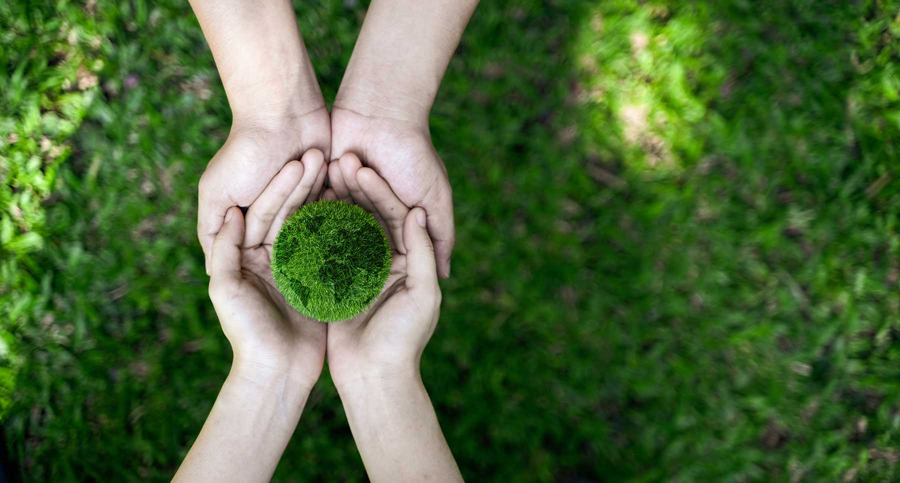 hands holding grass earth